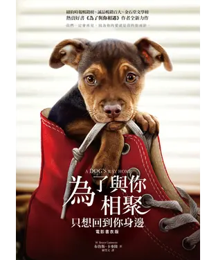 書封 只想回到你身邊